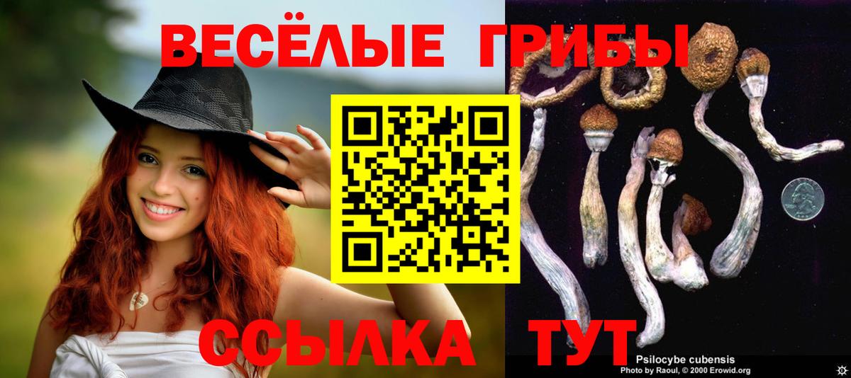 Псилоцибиновые грибы Magic Shrooms Реутов