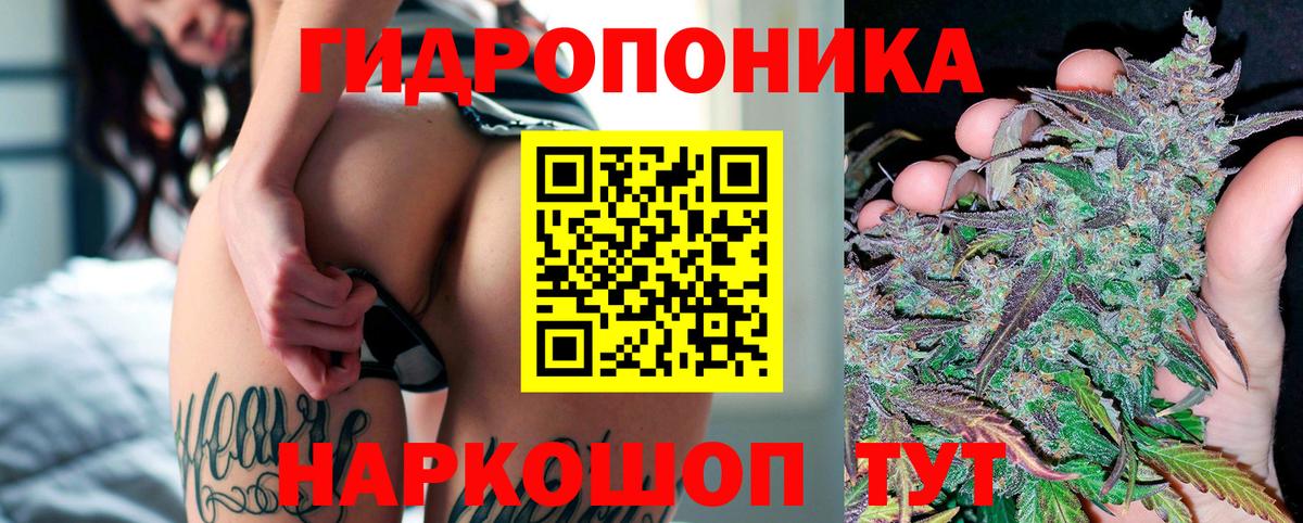 Реутов  Бошки Шишки тримм  Марихуана марихуана  Вход с VPN  Каннабис Bruce Banner 